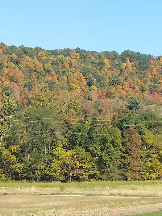 Robinson's Family Campground Picture 6