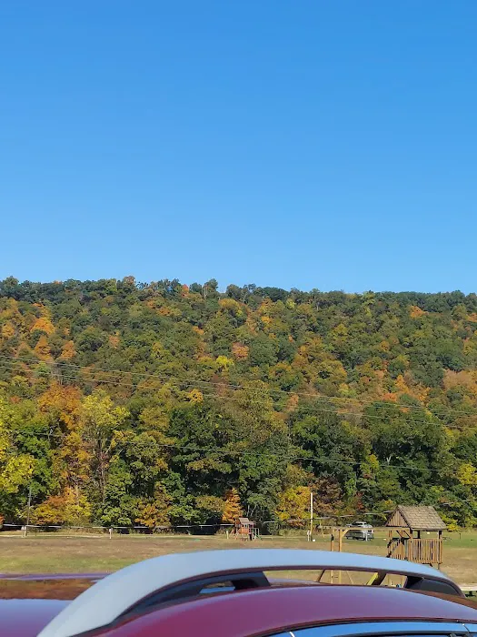 Robinson's Family Campground Picture 9