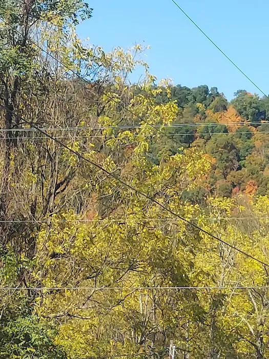 Robinson's Family Campground Picture 8