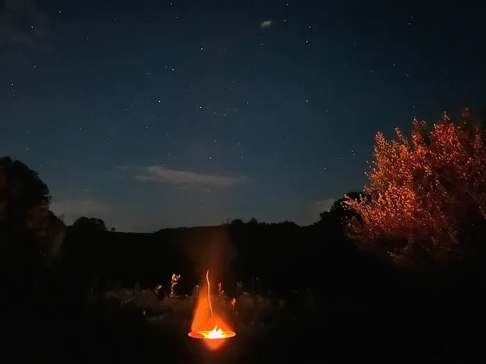 Wilson’s Boondock Hollow Picture 3