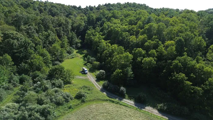 Wilson’s Boondock Hollow Picture 6