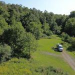 Wilson’s Boondock Hollow