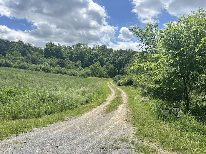 Wilson’s Boondock Hollow Picture 5