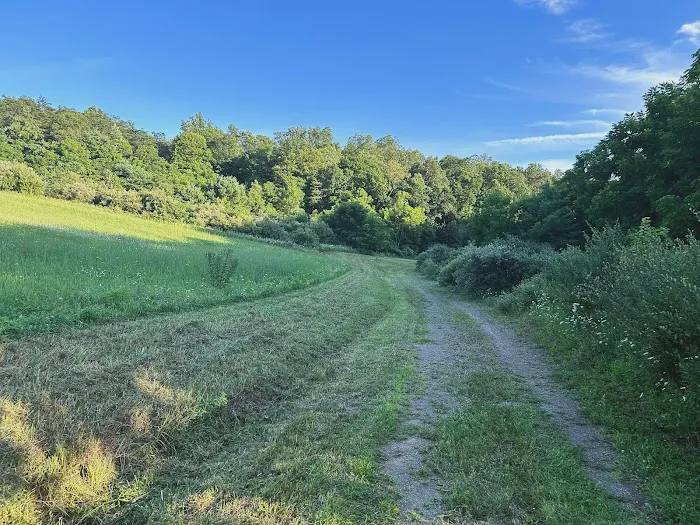 Wilson’s Boondock Hollow Picture 9