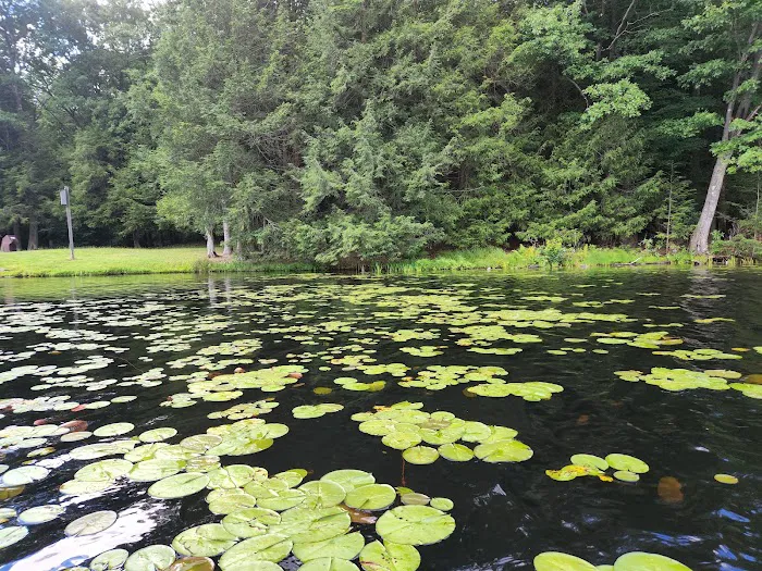 Black Moshannon State Park Family Cabin District Picture 6