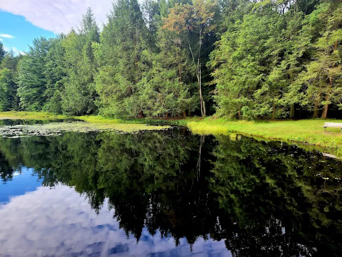 Black Moshannon State Park Family Cabin District Picture 7