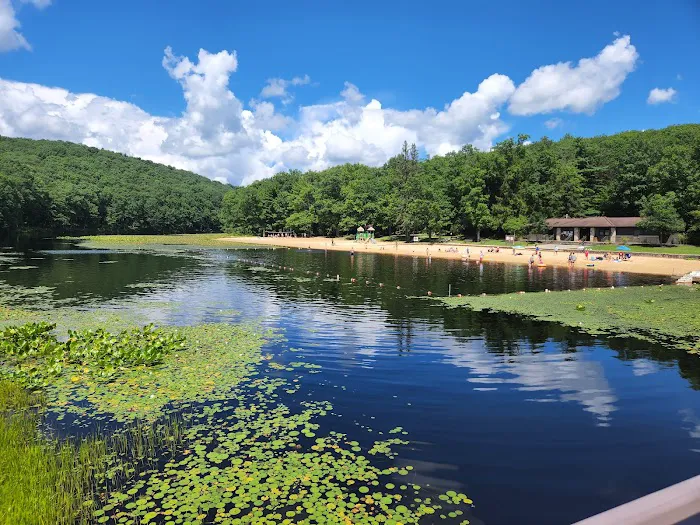 Black Moshannon State Park Family Cabin District Picture 5