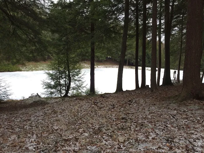 Lauder Family Campground Picture 9