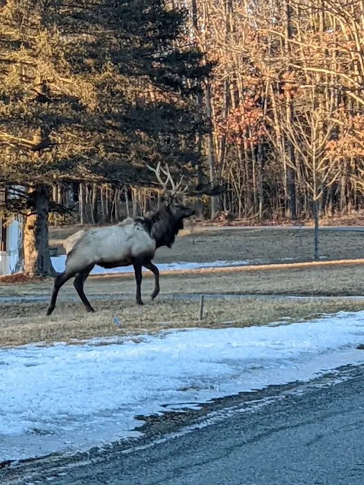 Lauder Family Campground Picture 6
