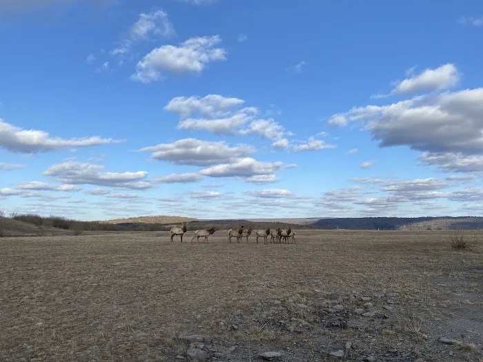Lauder Family Campground Picture 4