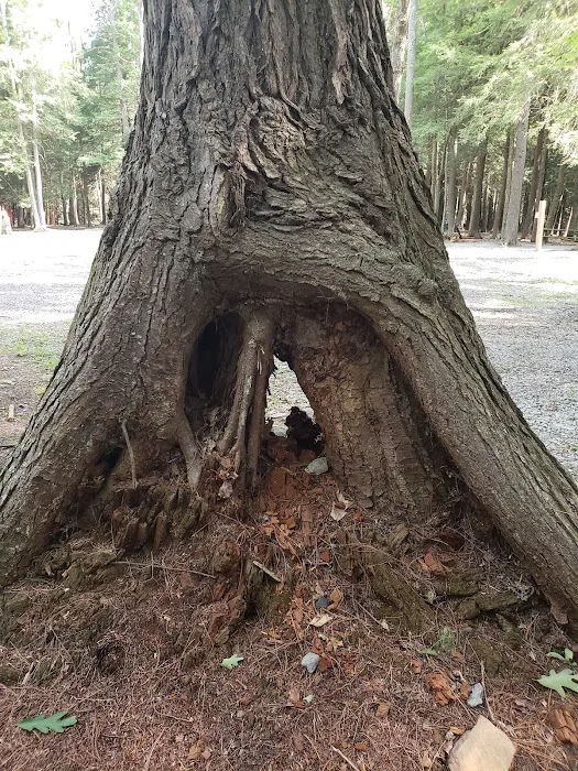 Lauder Family Campground Picture 7