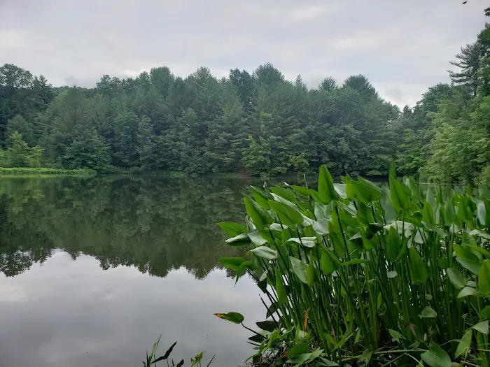 Woodland Campground Picture 7