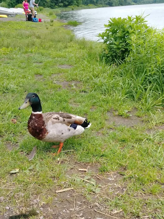 Woodland Campground Picture 6