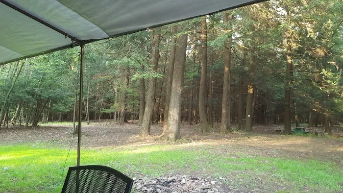 Woodland Campground Picture 1
