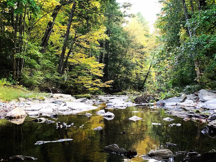 Conewago Campground Picture 9