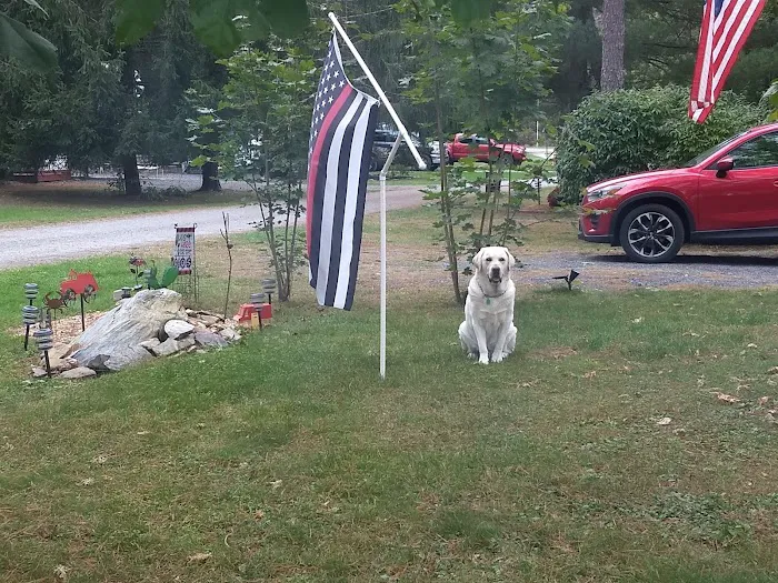 Conewago Campground Picture 6