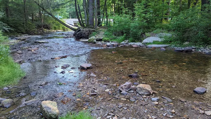 Conewago Campground Picture 3