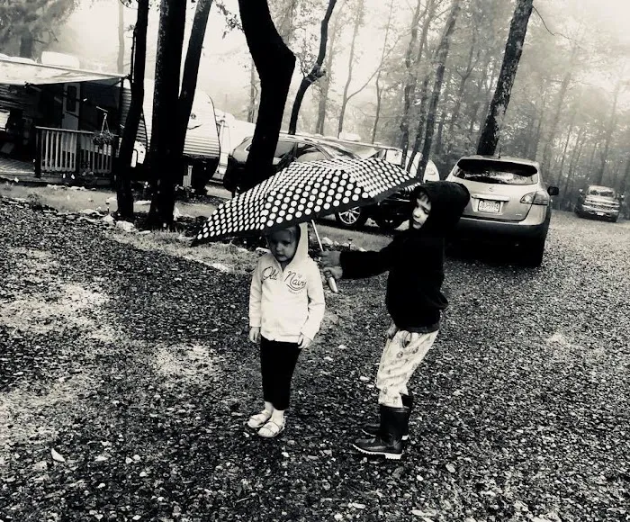 Pine Ridge Campground Picture 8