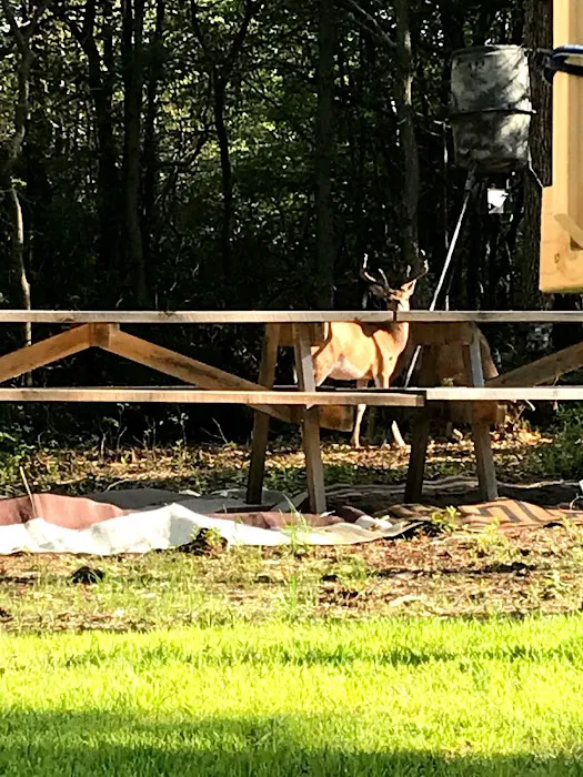 Pine Ridge Campground Picture 7