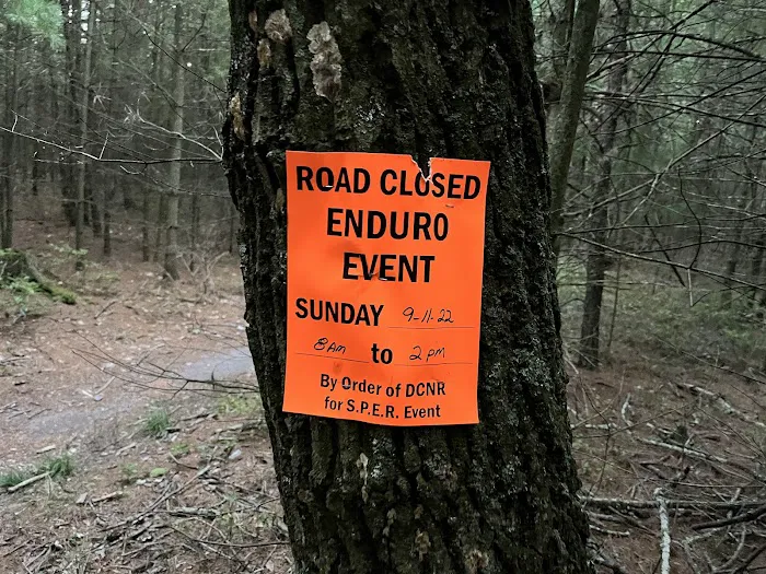 Primitive Campsite #10 Picture 3