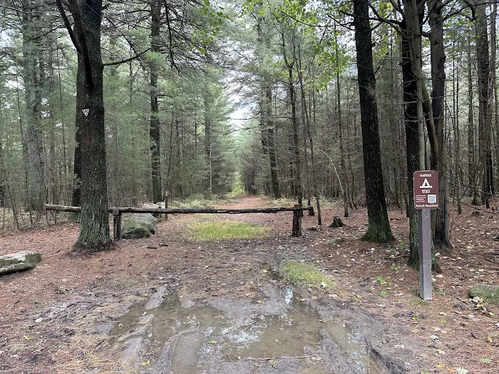 Primitive Campsite #10 Picture 6