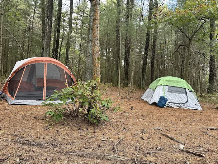 Primitive Campsite #10 Picture 7