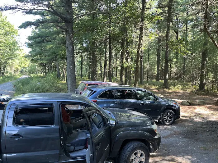 Primitive Campsite #10 Picture 1