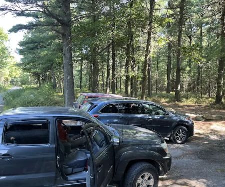 Primitive Campsite #10