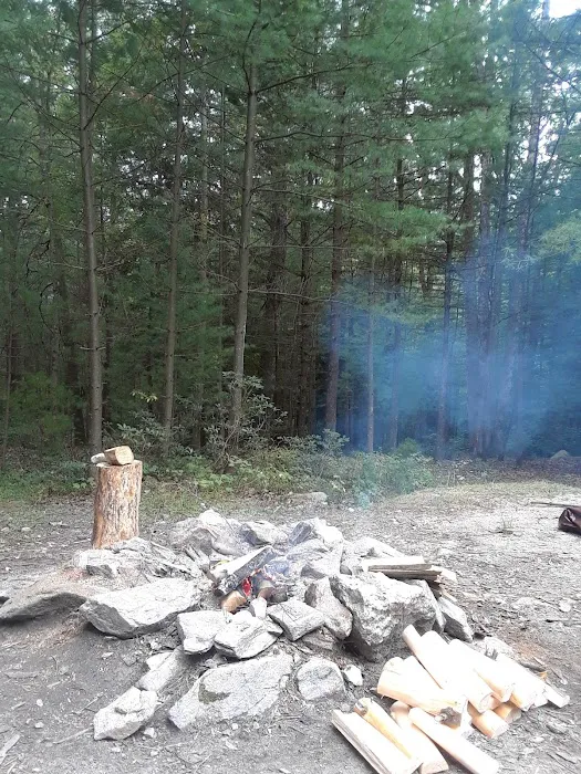 Primitive Campsite #11 Picture 7