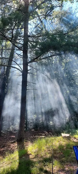 Primitive Campsite #11 Picture 1