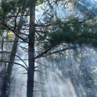 Primitive Campsite #11 ico