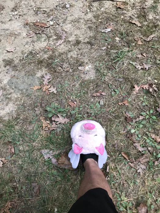 Primitive Campsite #11 Picture 9