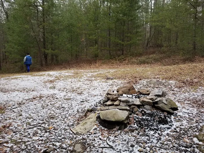 Primitive Campsite #11 Picture 10