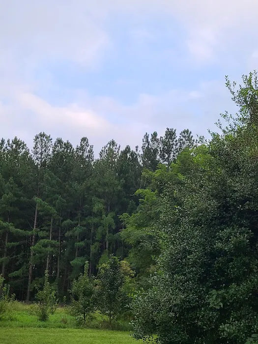 Camp Meade RV Park Picture 10