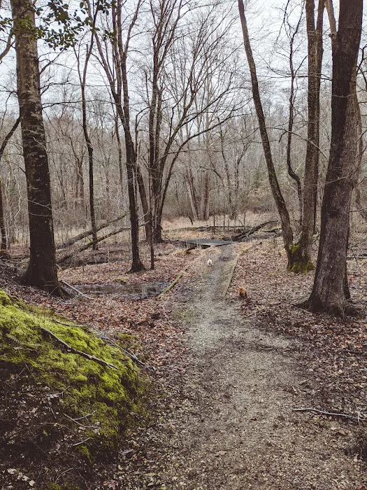 Patuxent River Park - Pavilion and Camp Ground Picture 9