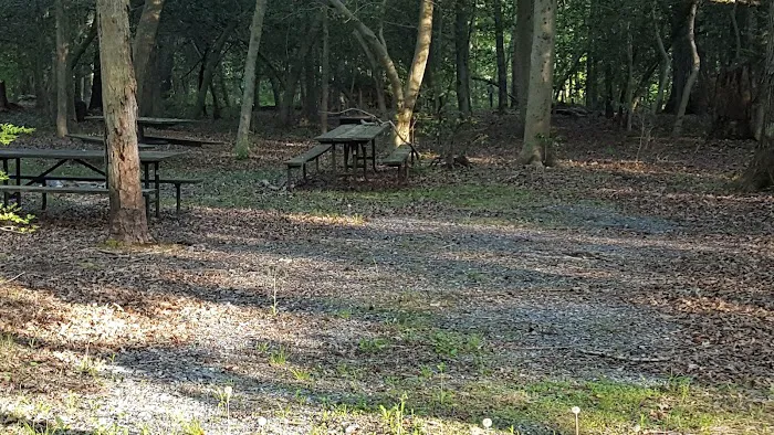 Skipper's Point Campground Picture 6