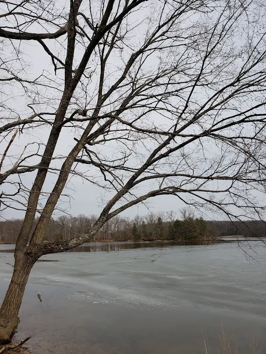 Skipper's Point Campground Picture 1