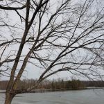 Skipper's Point Campground