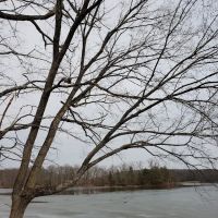 Skipper's Point Campground ico