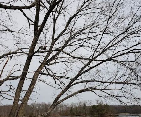 Skipper's Point Campground