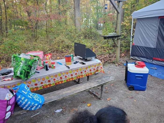 Hollofield Campground Picture 3