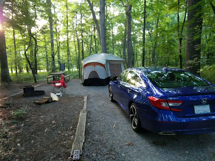 Hollofield Campground Picture 2