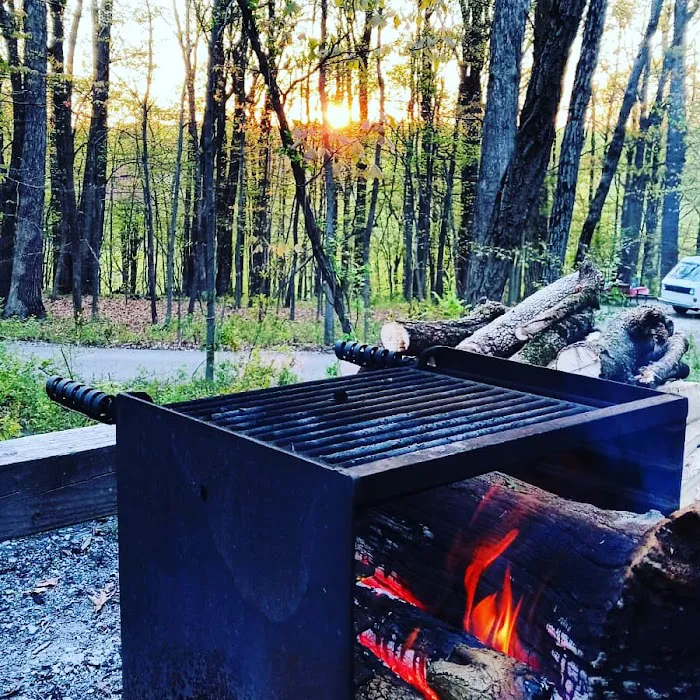 Hollofield Campground Picture 10