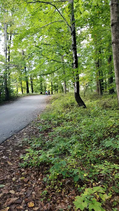 Hollofield Campground Picture 4