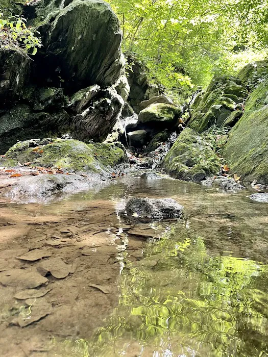 Hollofield Campground Picture 9