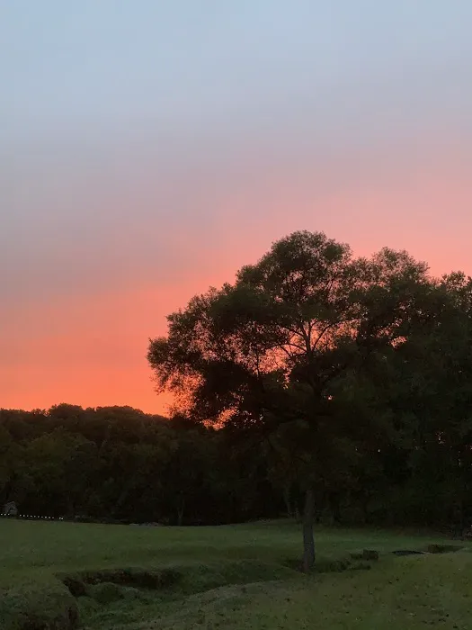 Shiloh Valley Camping Picture 1