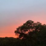 Shiloh Valley Camping