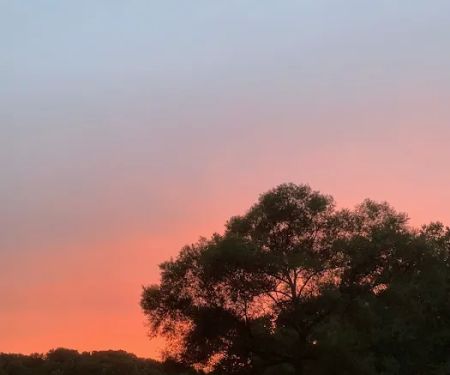 Shiloh Valley Camping