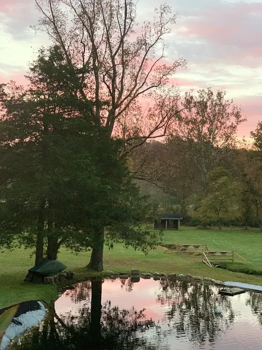 Shiloh Valley Camping Picture 3