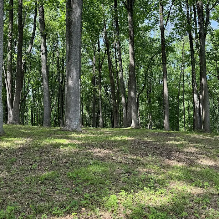 Shiloh Valley Camping Picture 6